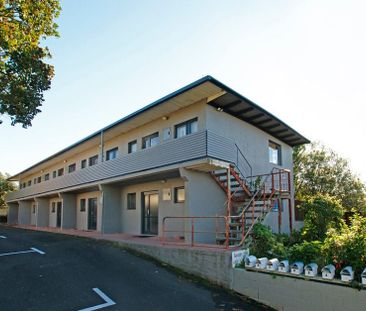Sunny, quiet apartment close to Waikato Hospital - Photo 4