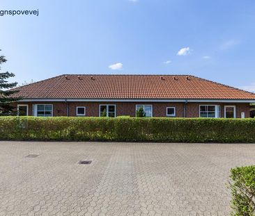 Ringkøbing opland - Photo 4
