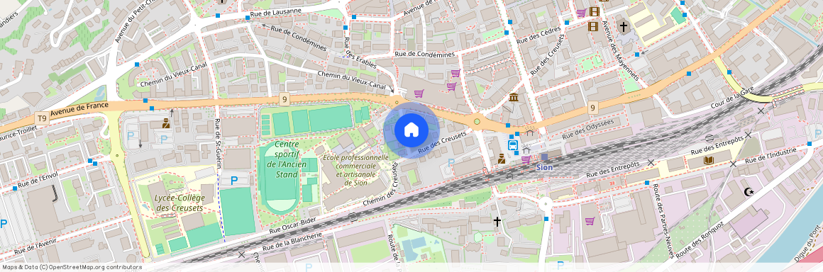 Rue des Erables 31, 1950 Sion