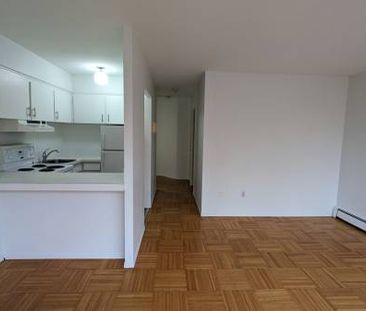 1 Bedroom Apartment - 1 Bed/ 1 Bath - Photo 1