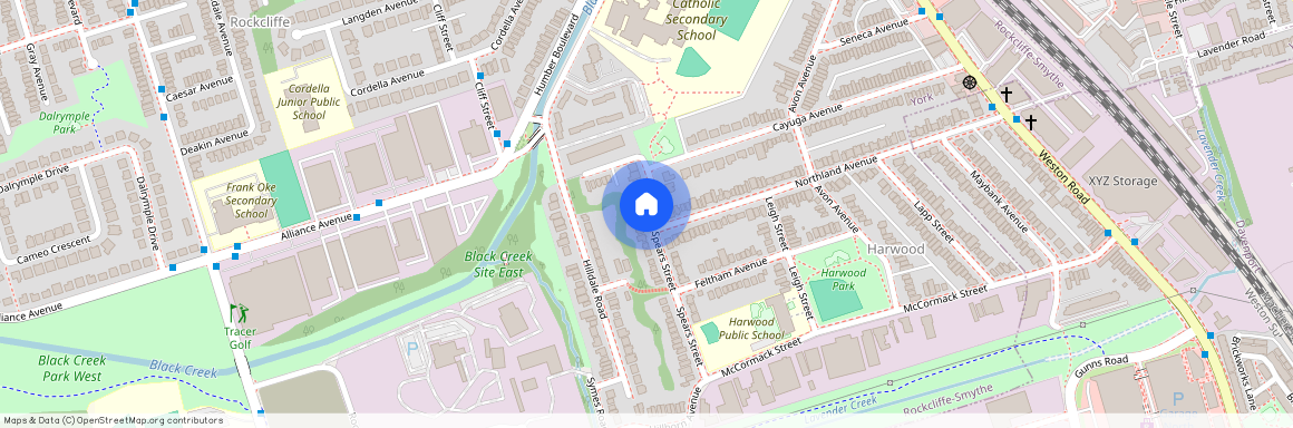 132 Spears Street Unit# Main Floor, Toronto