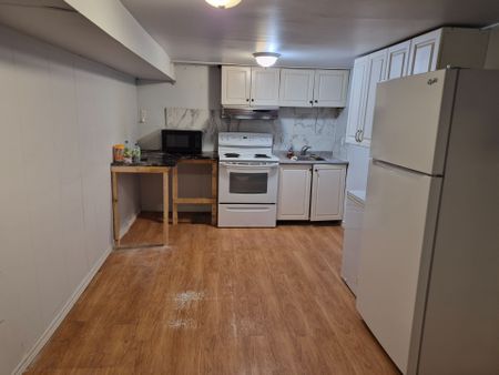 For Lease - 45 CARTIER Crescent Unit# BASEMENT, Richmond Hill, Ontario - Photo 4