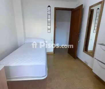 Piso en alquiler en Ourense Capital - Foto 4