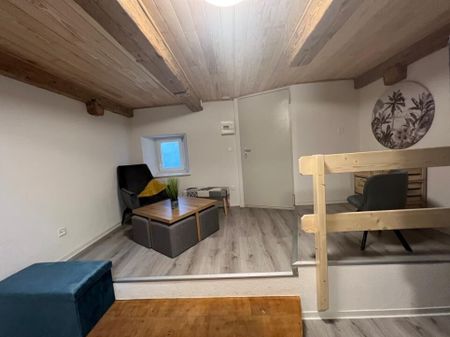 Très agréable duplex rénové situé entre le château et le jardin botanique - Photo 3