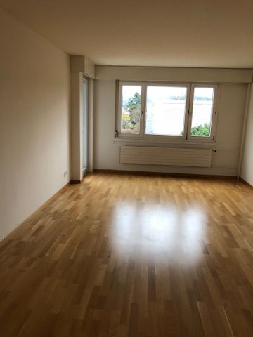 "Wohnen im Grünen nahe Greifensee" - Foto 2