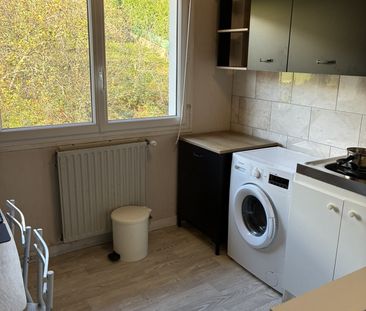 Location Appartement 1 pièce 24m² LA MOTTE SERVOLEX 73290 - Photo 6