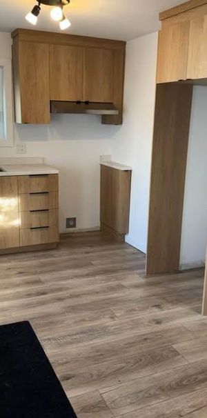 Petite maison (équivalent à un grand 3 1/2) à louer Thetford Mines - Photo 1