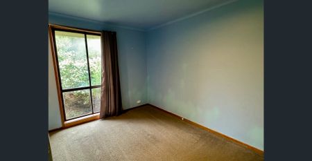 Relaxed Town Living - Photo 2