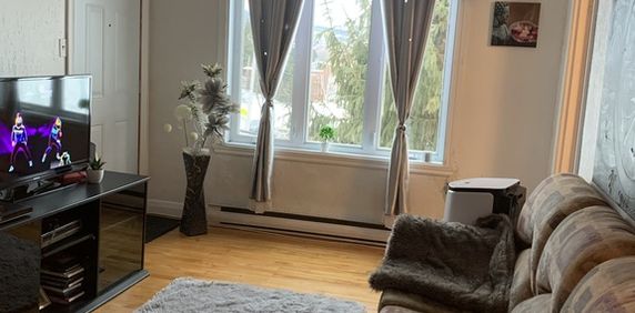 4 1/2 Nord De Sherbrooke - Photo 2