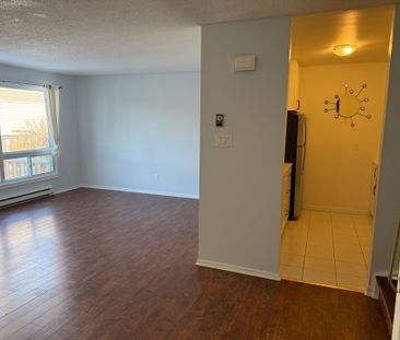 For Lease - 25H Banner Road, South of Baseline to Knoxdale, Ontario - Photo 5