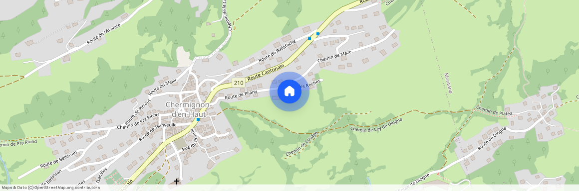 3971, Ollon VS, Route De Pliany, 18