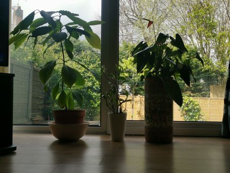 Room in a Shared House, Primley Park Lane, LS17 - Photo 2