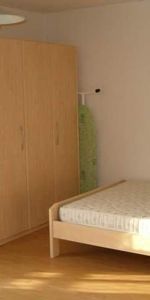 Gemütliche 1.5- Zimmerwohnung am Brausebad - Foto 3