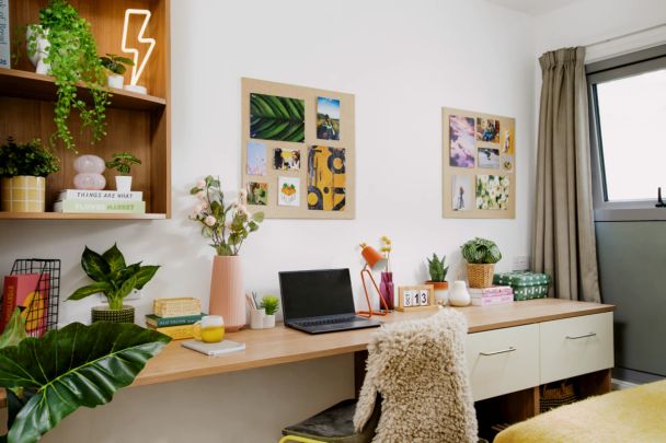 Medium Studio - Photo 1