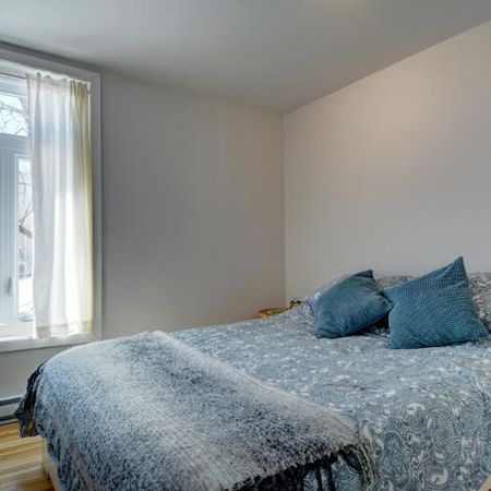 3 ½ entièrement meublé à louer Saint-Jean-Baptiste juillet 2026 - Photo 4