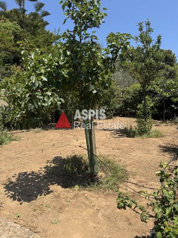 Διαμέρισμα για ενοικίαση Μικρολίμανο (Κερατέα) - Photo 4