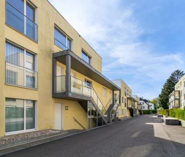 3.5 Zimmer, 99 m², EG - Foto 1