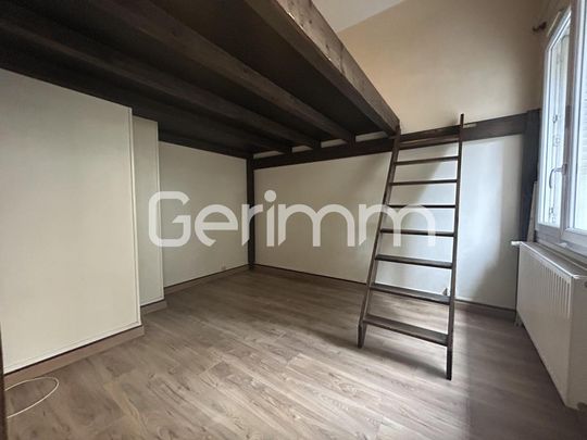 Location Appartement 1 pièce 29m² GRENOBLE 38100 - Photo 1