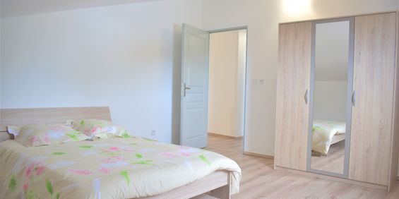 Location Appartement 1 pièce 40m² STE CLOTILDE 97490 - Photo 3