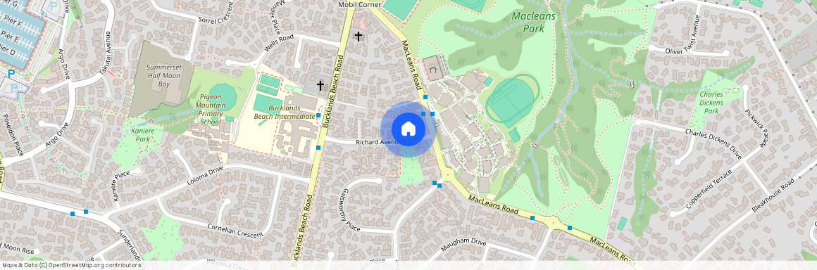 20 Richard Avenue, Bucklands Beach, Manukau City