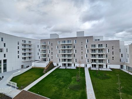 Rue des Bourgeois, 5000, Namur - Photo 4