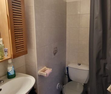 Location Appartement 1 pièce 19m² MONTPELLIER 34000 - Photo 3
