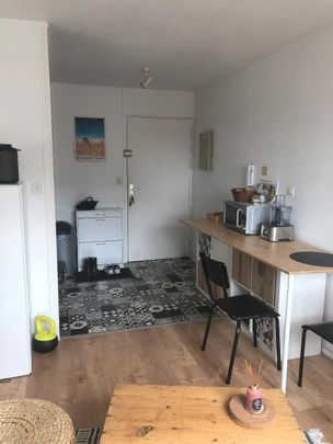 Location Appartement 1 pièce 28m² VILLEURBANNE 69100 - Photo 1