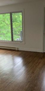 LUMINEUX ET SPACIEUX 4 1/2 DISPONIBLE LE 1ER FÉVRIER OU LE 1ER MARS 2026. - Photo 3