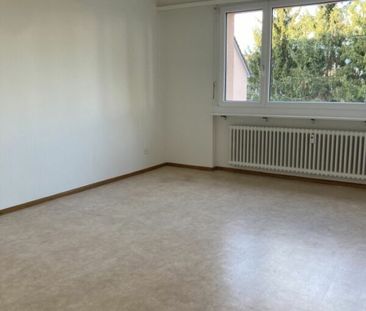 Frenkendorf / 3-room apartment on the ground floor - Photo 1