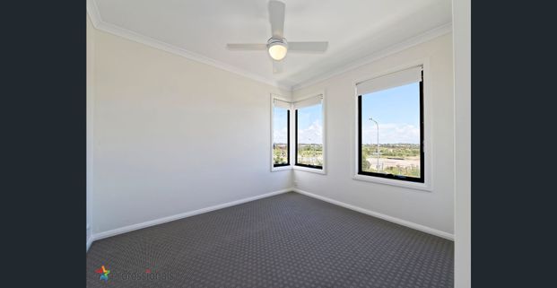 MODERN LIVING - Mango Hill - Photo 1