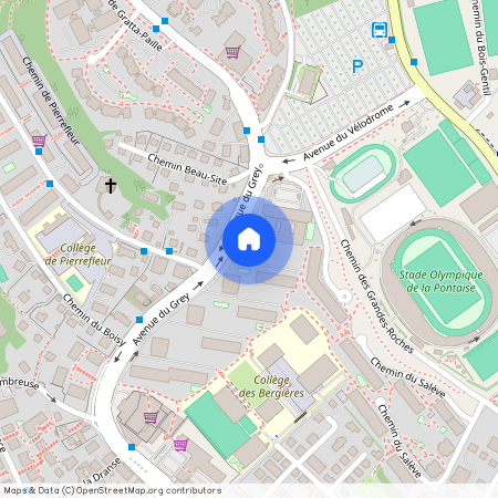 Avenue du Grey 38, 1004 Lausanne