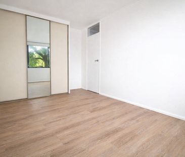 2/70 Kenneth Road, Manly Vale NSW 2093 - Apartment For Rent | Domain - Photo 2