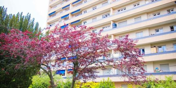 3 Zimmer, EG - Photo 3