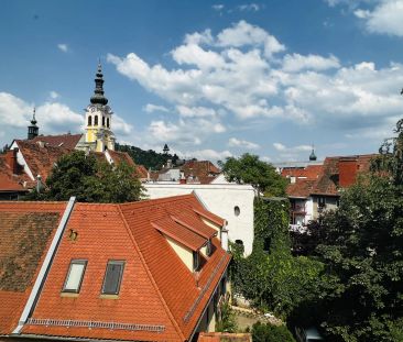 ++PROVISIONSFREI++ Helle 2-Zimmer-Wohnung in Graz - ZENTRAL - Photo 1