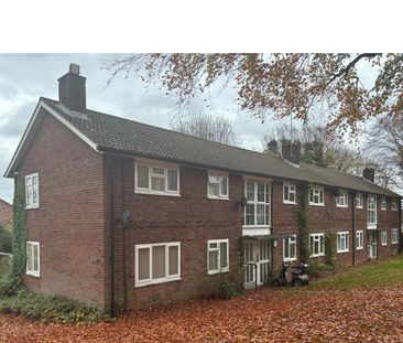 Harwood Hill, Welwyn Garden City - Photo 4