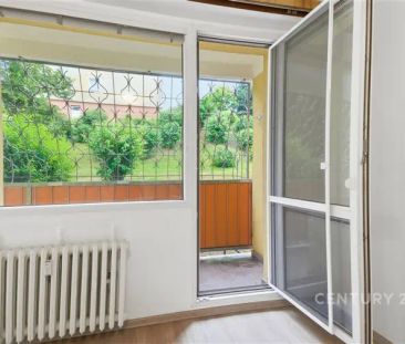 Pronájem bytu 1+1 s lodžií a dvěma úložnými prostory, Bílina – Alšo... - Photo 6