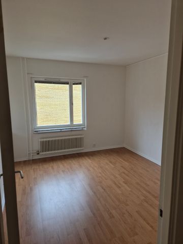 Pionvägen, Gusum - Foto 2