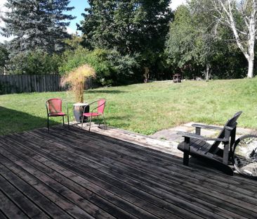 For Lease - 906 Walnut Street Unit# Basement, Whitby, Ontario - Photo 4