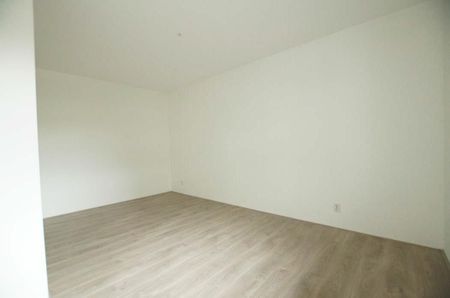 Willem van Hillegaersbergstraat, Rotterdam - Photo 4