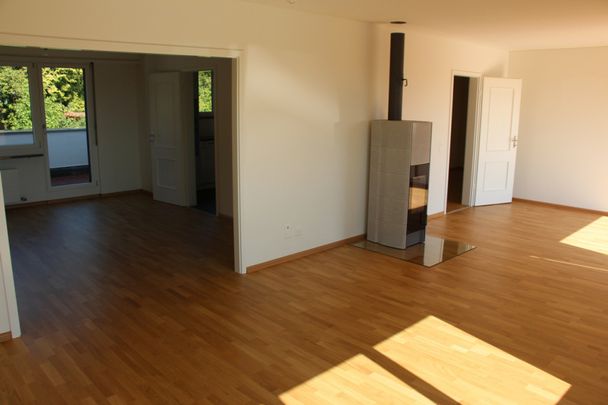 Riehen MFH Im Niederholzboden - Photo 1