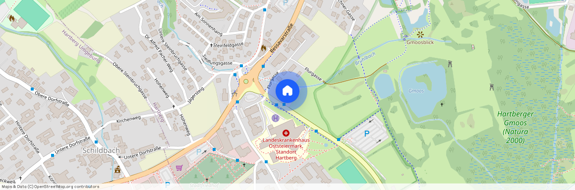 Flurgasse 2, 8230, Hartberg