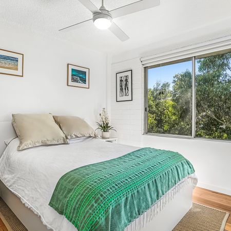 22/171 St Johns Road, Glebe - Photo 4