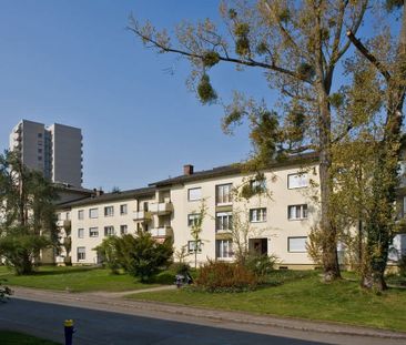 4 Zimmer, 77 m², 3. Stock - Photo 5