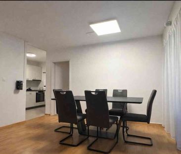 2.5 Zimmer, 52 m², 2. Stock - Photo 2
