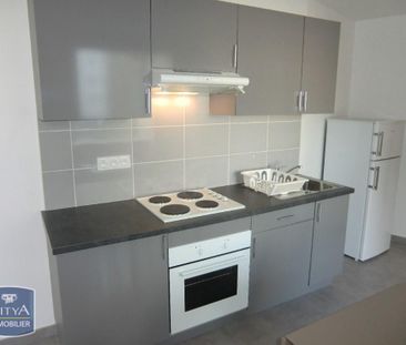 Location Appartement 1 pièce 25m² GRENOBLE 38000 - Photo 2