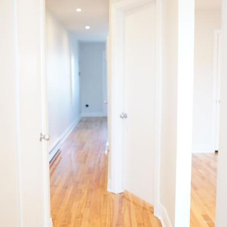1 CH - 1 SDB - Montréal - $1,275 /mo - Photo 4