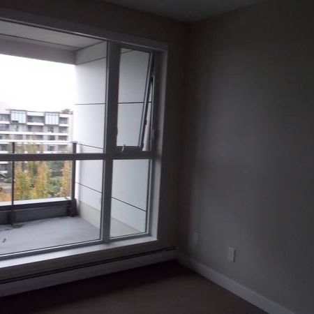 2 Bedroom Apartment for Rent in Kerrisdale - $750 BONUS - Photo 1