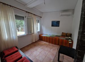 Studio/Γκαρσονιέρα για ενοικίαση - Λέσβος - Μυτιλήνη, - Photo 1