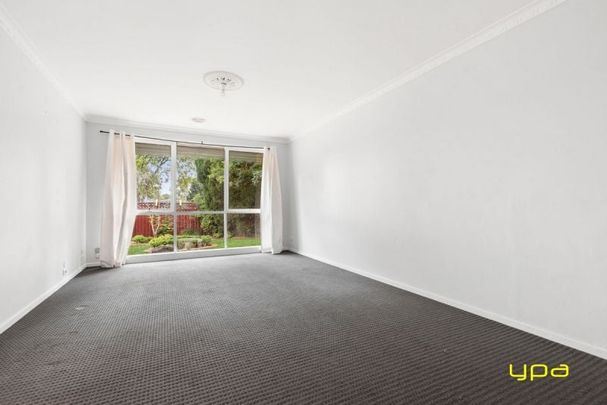 Spacious Single-Level Home with Pool & Alfresco Entertaining - Photo 1