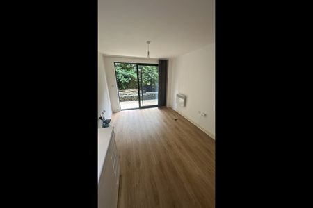 1 Bed Flat, Princeton Place, L8 - Photo 3